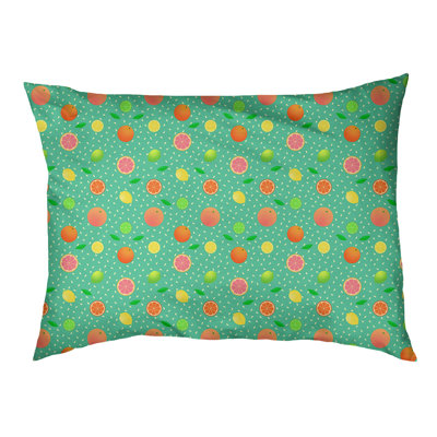 Coussin pour chien agrume fruit Byrge