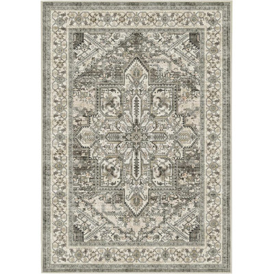 Tapis oriental rétro à motif médaillon rétro, tapis intérieur en polyester lavable avec envers en caoutchouc antidérapant, tapis à poils courts pliable pour le salon, la chambre à coucher, plusieurs couleurs et tailles