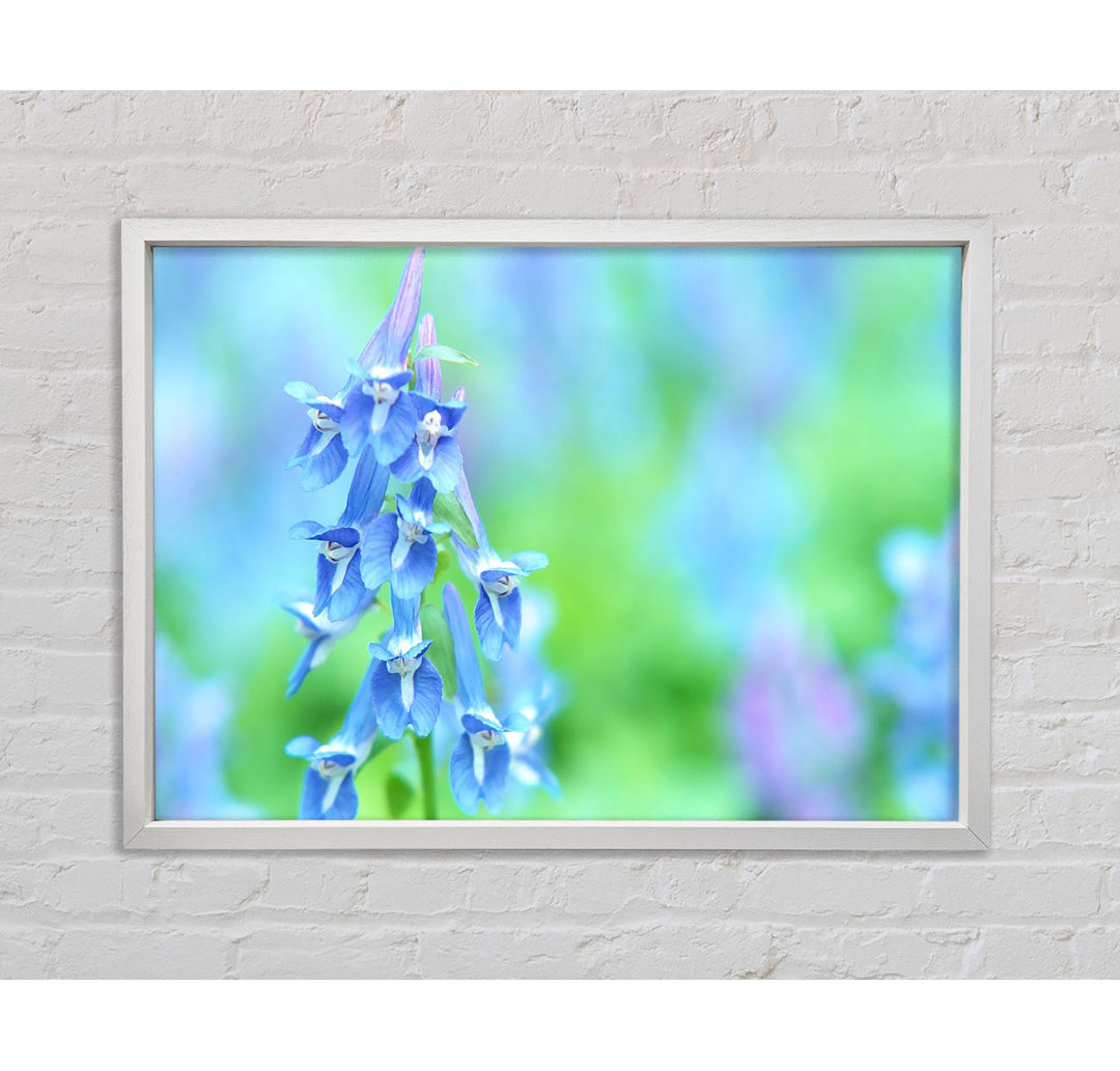 Soft Focus Kleine blaue Blumen - Einzelner Bilderrahmen Kunstdrucke auf Leinwand