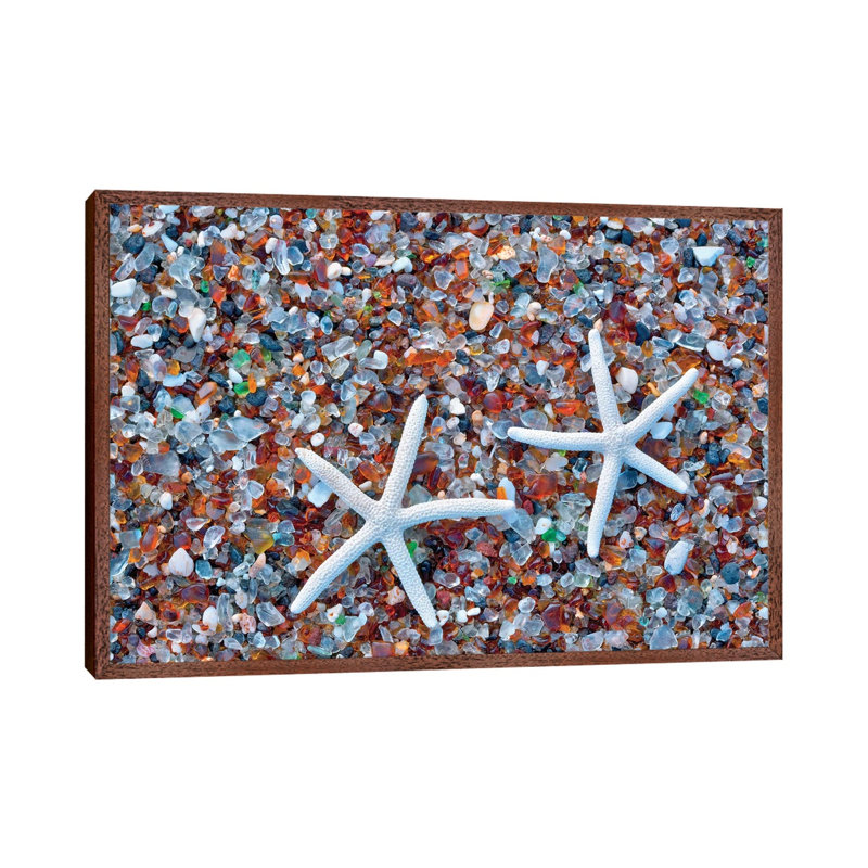 Glass Beach Starfish by Dennis Frates - Print on Canvas, 66.04cm H x 101.6cm W x 3.81cm D, Classic Brown Wood Framed