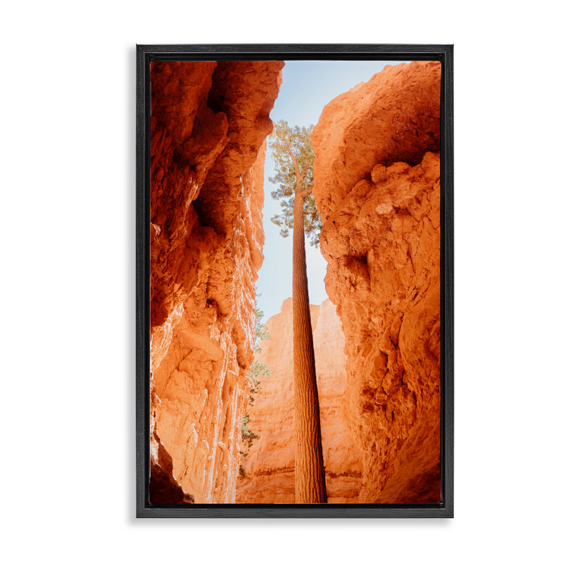 Cadre flottant Bryce Canyon, conception de Jade Sharp Photo, Cadre flottant noir de jais, H 25 po x l 17 po