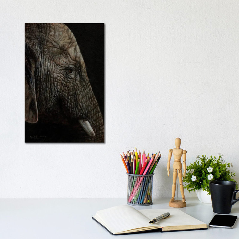 African Elephant Profile by David Stribbling - Wrapped Canvas Gallery-Wrapped Canvas Giclée, 20.32 cm H x 30.48 cm W