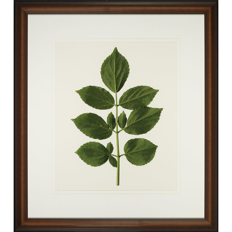 A Little Piece Of Nature II Print