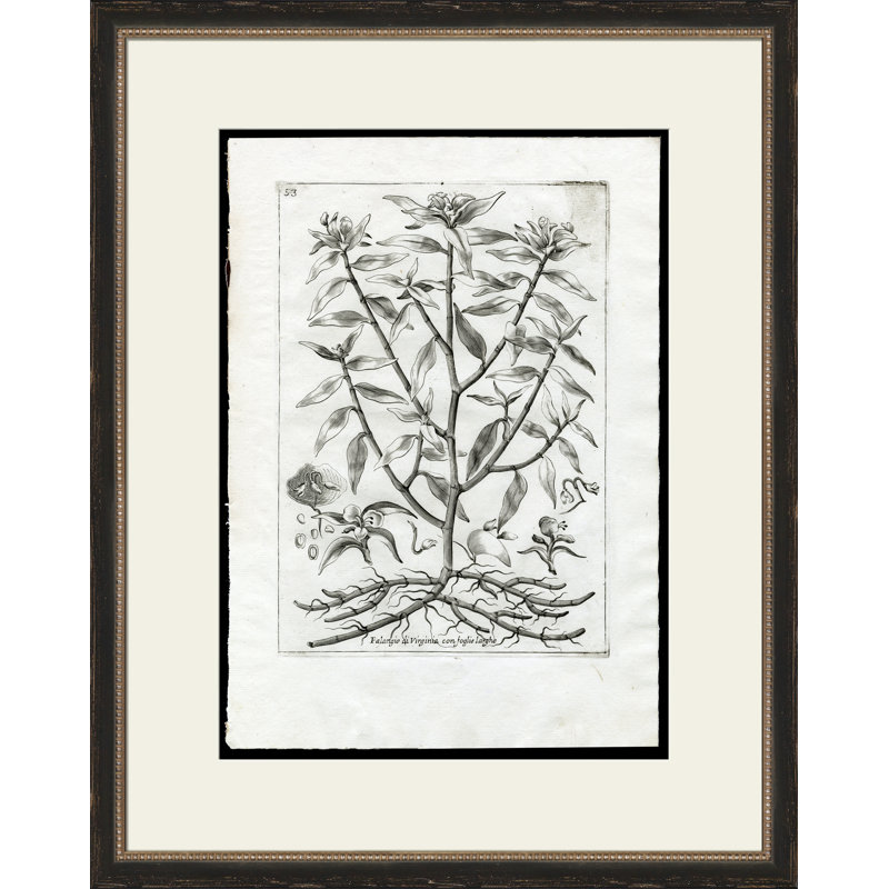 Rooted Plant II Painting
