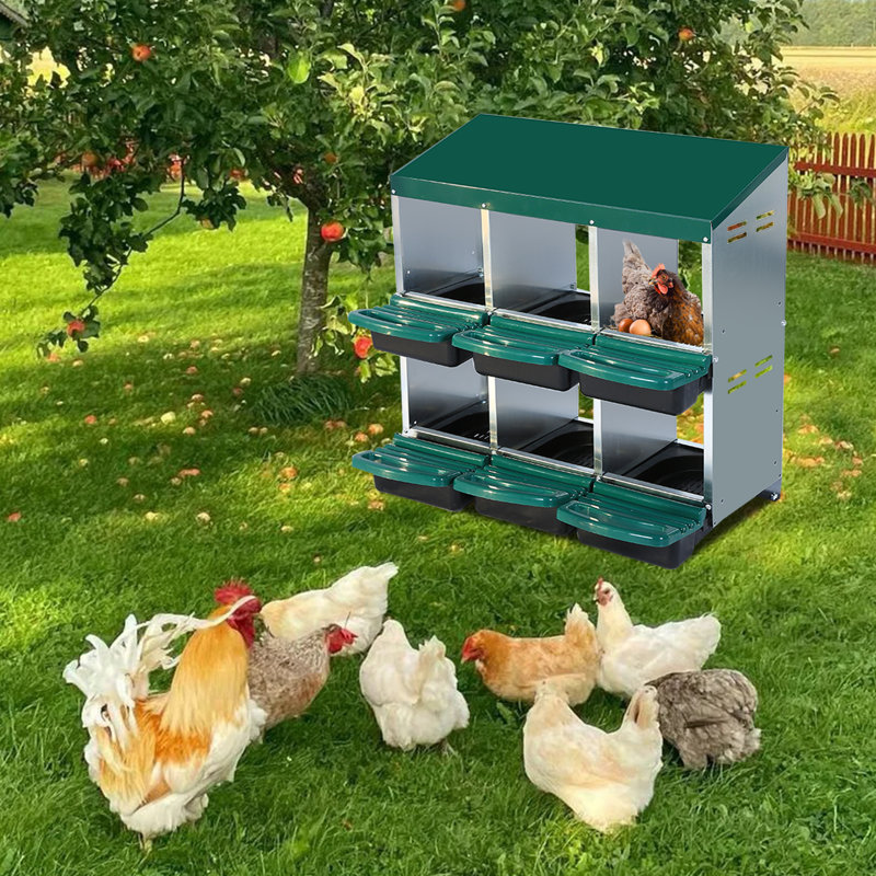 Egg Boxes & Baskets, 79cm H x 81cm W x 52cm D, Green