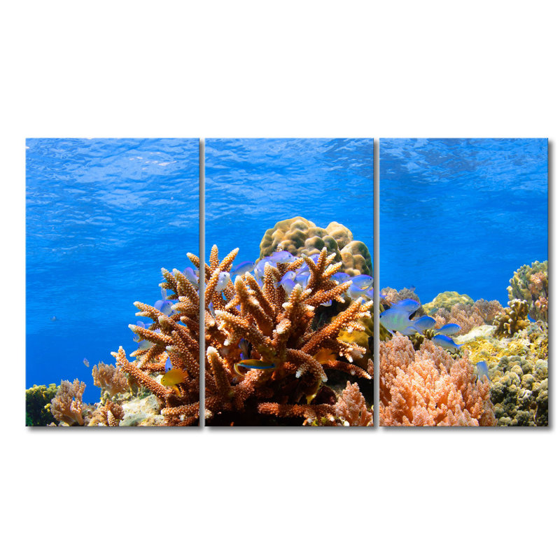 3 Piece Wrapped Canvas Print