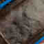 Photos des clients 1 de 1