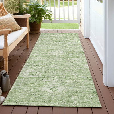 Tapis intérieur / extérieur lavable à la machine Chayden ACN1089 Aloe