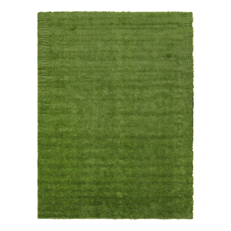 Tapis intérieur / extérieur Cathlyn, Rectangle 9 pi x 12 pi