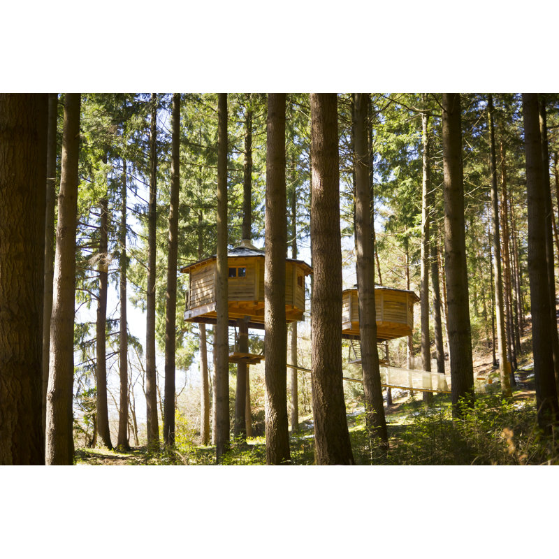 Huts in the Trees - Photographie sur toile tendue, H 8 po x l 12 po