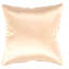 Square Pillow Cover & Insert-1771594790-1776867245