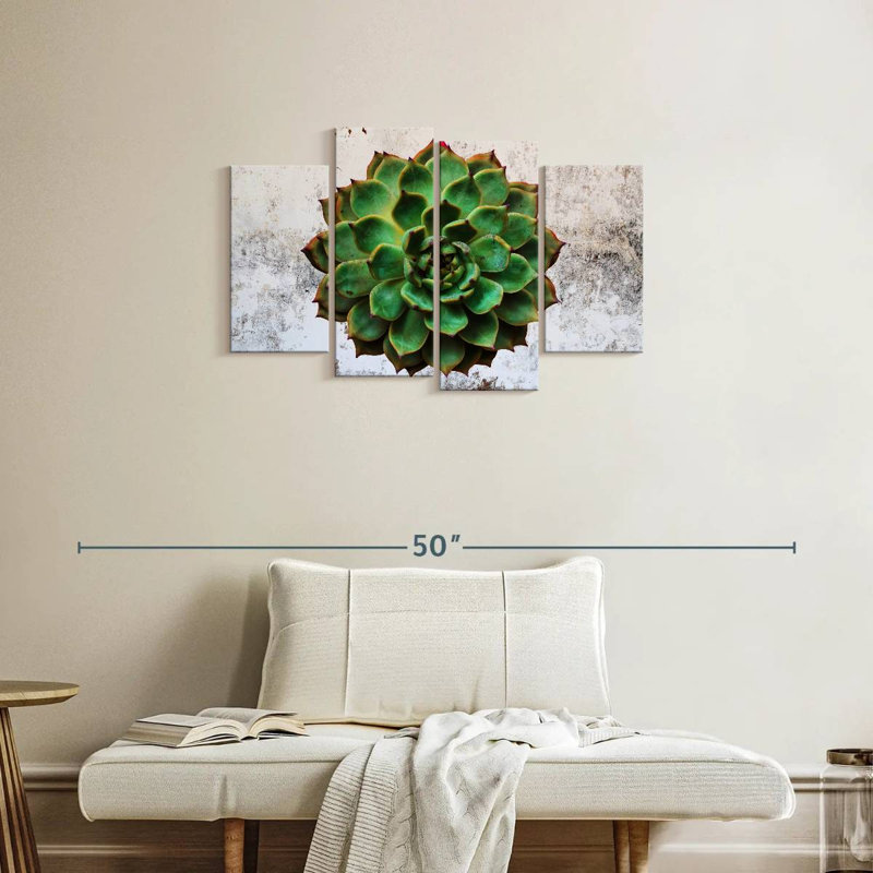 Plante grasse Harnek, H 22 po x l 36 po