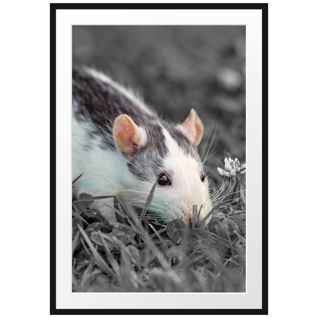 Gerahmtes Poster Kleine Maus auf Blumenwiese