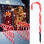 Ensemble de lumières de chemin de Noël 17 po