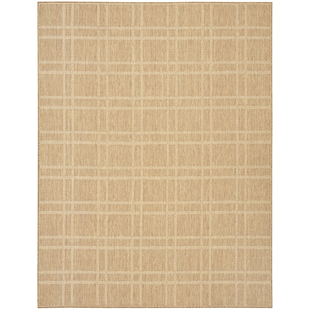 Akyla Plaid Indoor / Outdoor Area Rug