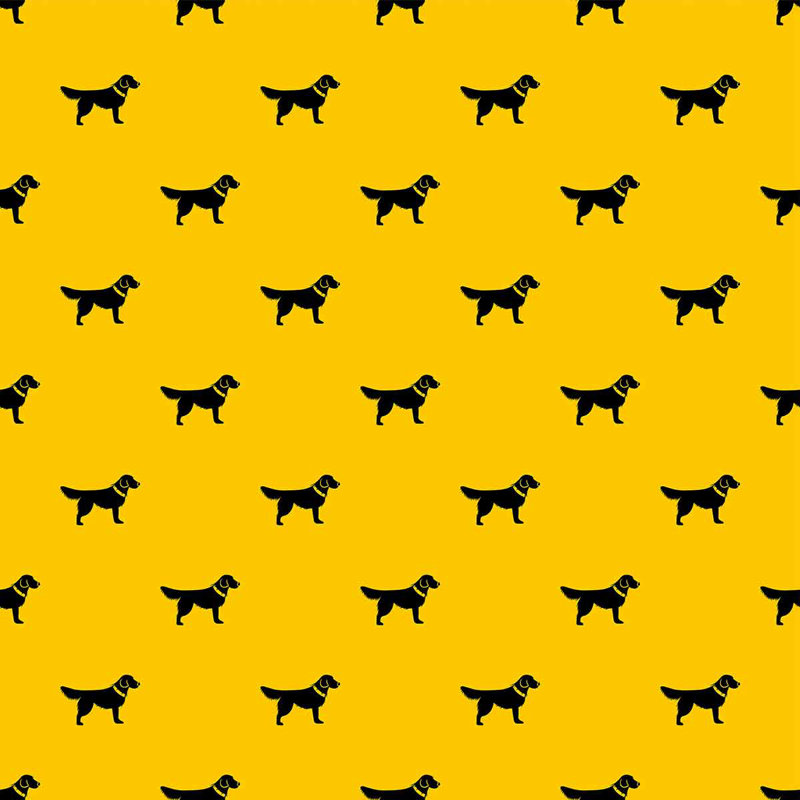 Petit papier peint adhésif Petit chien noir sur fond jaune, L 126 po x l 24 po