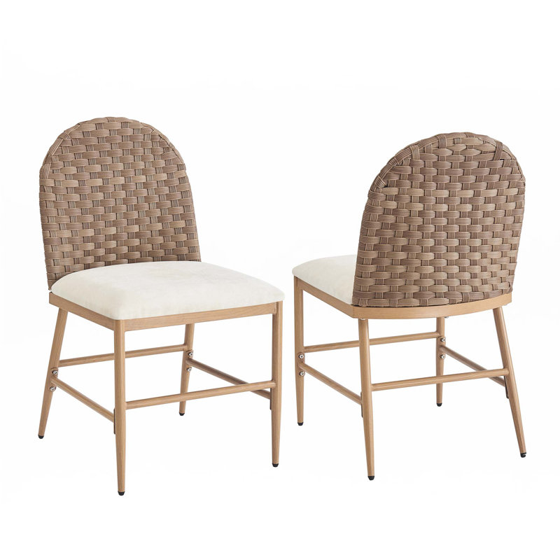 Ensemble de 2 chaises de ferme