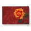 Orange Rose In Bloom - Wrapped Canvas-56630334