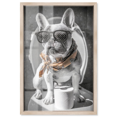 Écharpe Frenchie