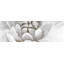 «Delicate White Chrysanthemum - Modern Floral», reproduction encadrée-1097558696