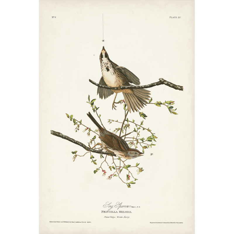 Pl. Moineau 25 morceaux, H 36 po x l 24 po