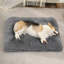 Coussin de siège pour animal de compagnie-863325965-863325963