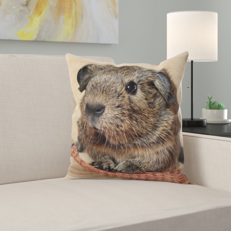 Housse et insert de coussin carré cochon d'Inde