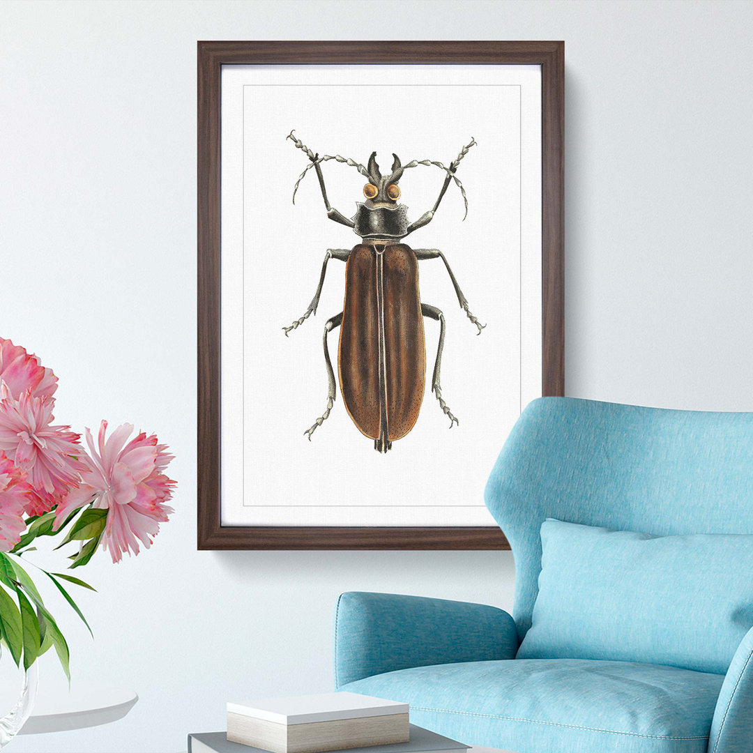 Beetle by George Shaw - Framed Print