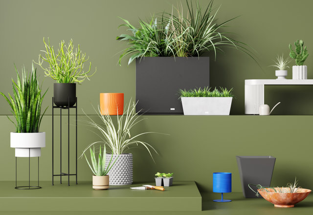Planters for Indoors + Out