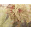 Tapis beige Asifa-1030719442