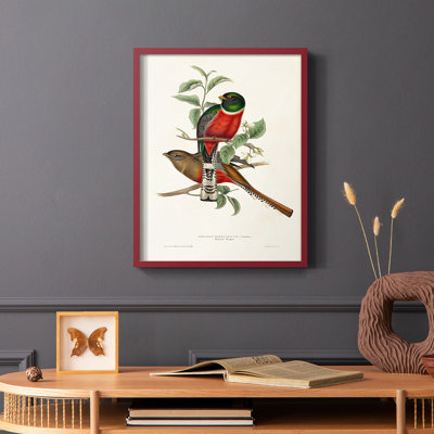 «Elegant Trogons I», reproduction encadrée - bois massif