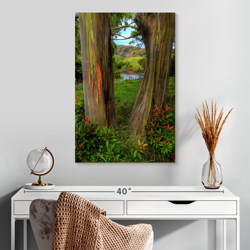 Harnek Roadside Rainbow Eucalyptus, 30" H x 20" W