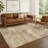 Machine Washable Indoor/Outdoor Chantille ACN2369 Abstract Rug-1642436151