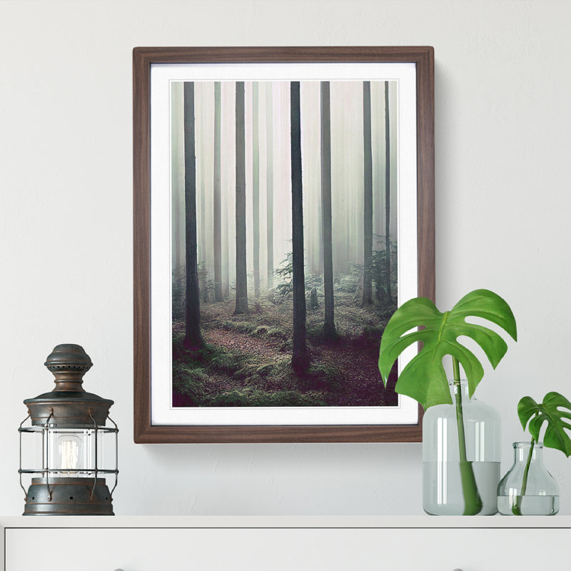 A Quiet Forest 1 Piece Single Picture Frame Wall Art, 34cm H x 25cm W x 2cm D, Walnut