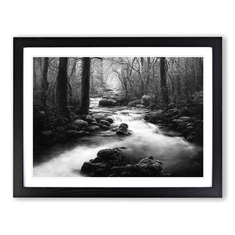Forest Stream - Framed Print, Black Framed, 46cm H x 64cm W