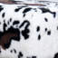 48.3cm Wide Rectangle Animal Print Footstool Ottoman