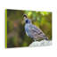 Impression sur toile majestueuse-597558648