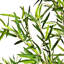 Artificial Bamboo Tree in Pot-762555930