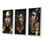 «Gold Crystal Femme Portrait», 3 pièces sur toile
