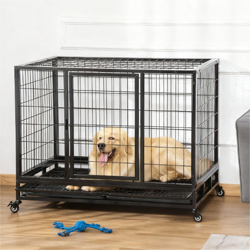 Caisse et cage pour chien en métal robuste, noir