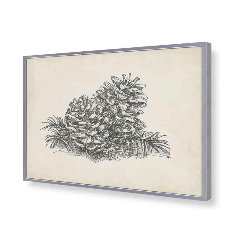 «Christmas Conifers I» par Ethan Harper, reproduction d'art, H 32 po x l 48 po, Cadre à joints visibles, Argent argent