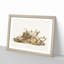 Four-Striped Ground Squirrels by J.W. Audubon - Picture Frame Painting Print-55577704-55577705