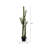 Artificial Green Cactus, Black Plastic Planters Pot-1364928967