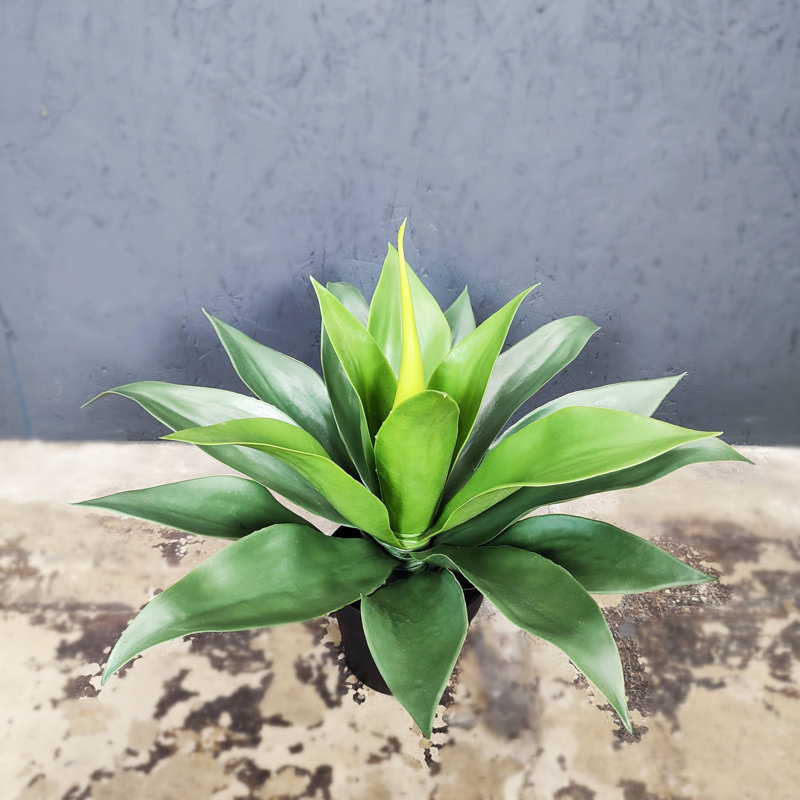 Agave artificielle Sansevieria