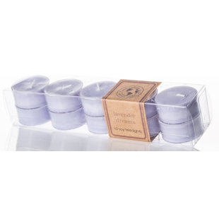 Bougie chauffe-plat lavande Dreams (Ensemble de 10)