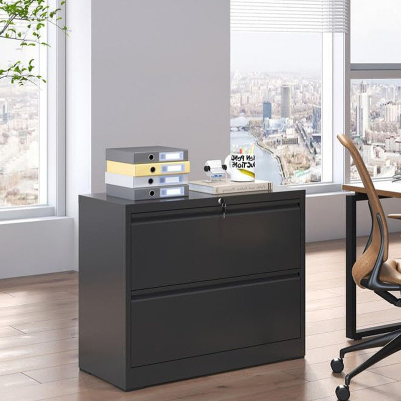 Durable Lateral File Cabinet with , 2 Drawer and Lock, Storage Cabinet for Hanging Files Letter/Legal/A4, Black