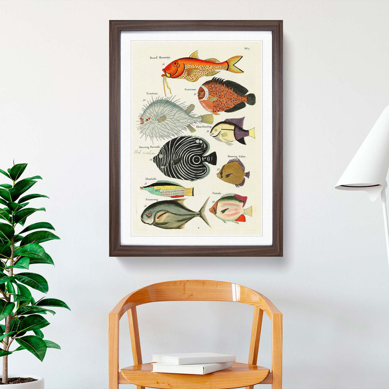 East Indies Fish Illustrations Fol. 5 hh by Louis Renard - Picture Frame Graphic Art Print, 36cm H x 27cm W x 2cm D
