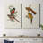 ElegantTrogonsI-Premium Gallery Wrapped Canvas -Ready to Hang-108946521