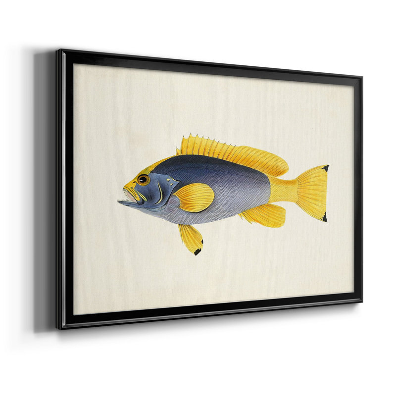 Collection de poissons tropicaux V - ensemble de 2 cadres photo, H 24,5 po x l 37 po x P 1 po, Noir