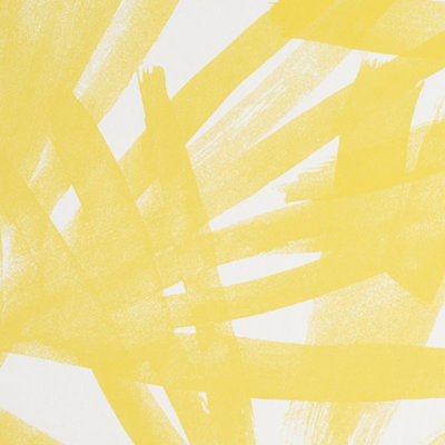 Sunlit Palm Wallpaper